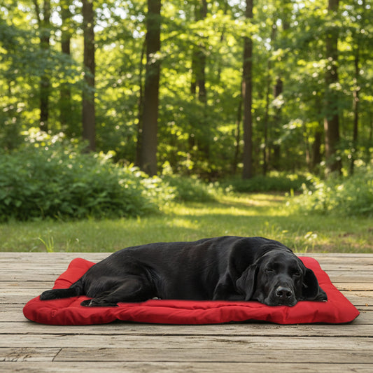 Foldable Waterproof Dog Mat for Outdoor Adventures-Galonda