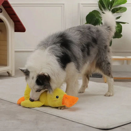 Interactive Plush Dog Toy with Quacking Sound-Galonda