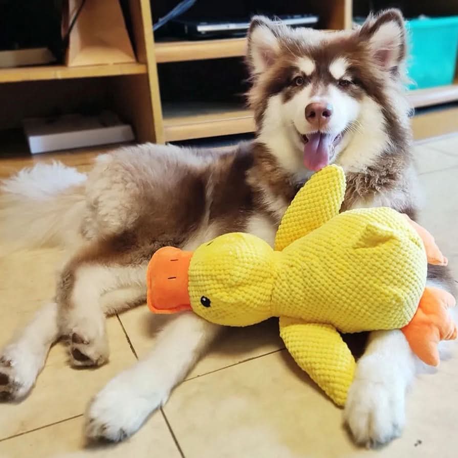 Interactive Plush Dog Toy with Quacking Sound-Galonda