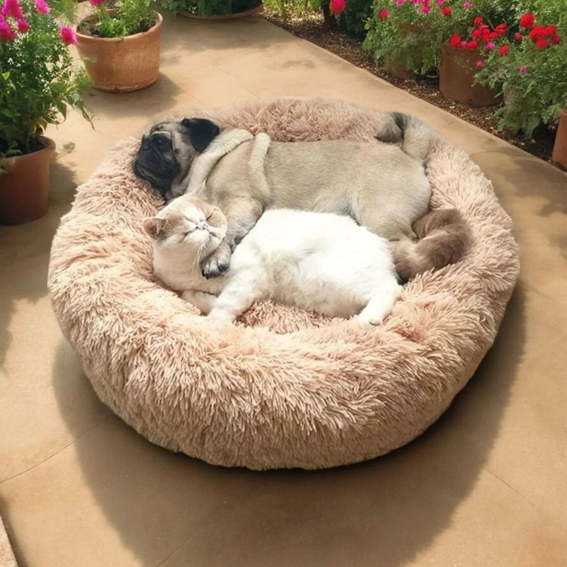 Plush Pet Bed for Warm Comfortable Sleep-Galonda