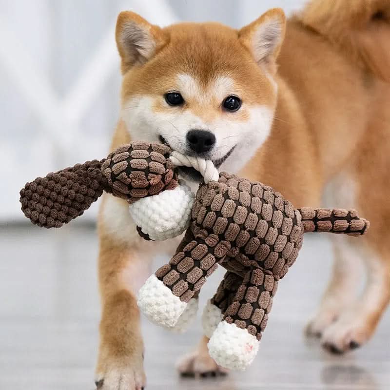 Tough Plush Squeaky Toy for Aggressive Chewers-Galonda