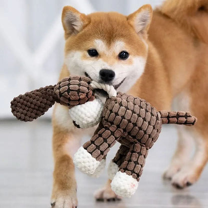Tough Plush Squeaky Toy for Aggressive Chewers-Galonda