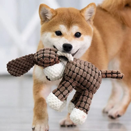 Tough Plush Squeaky Toy for Aggressive Chewers-Galonda