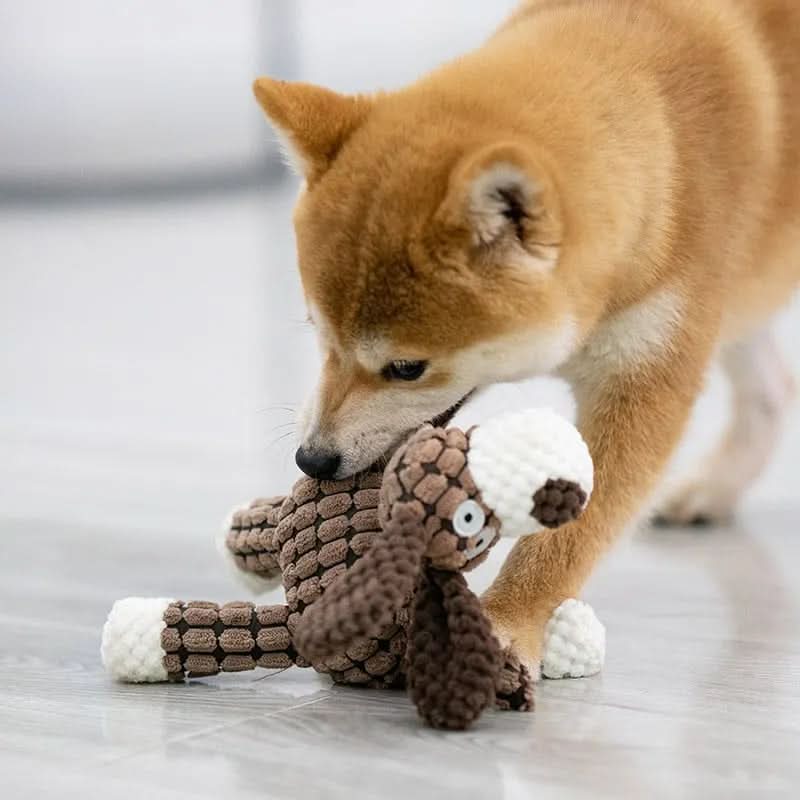 Tough Plush Squeaky Toy for Aggressive Chewers-Galonda
